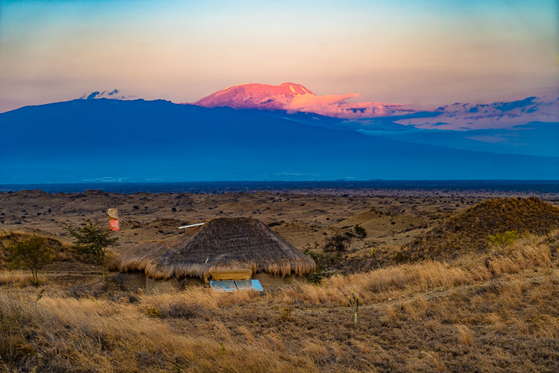 Kilimanjaro View
