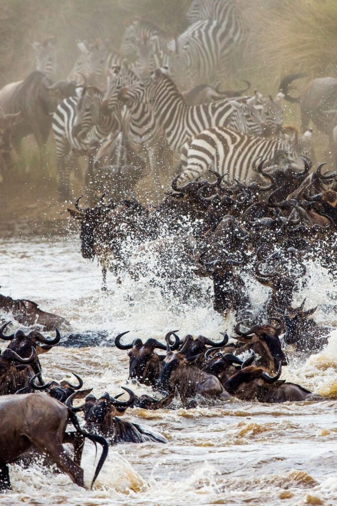 6 Days Serengeti Migration Safari