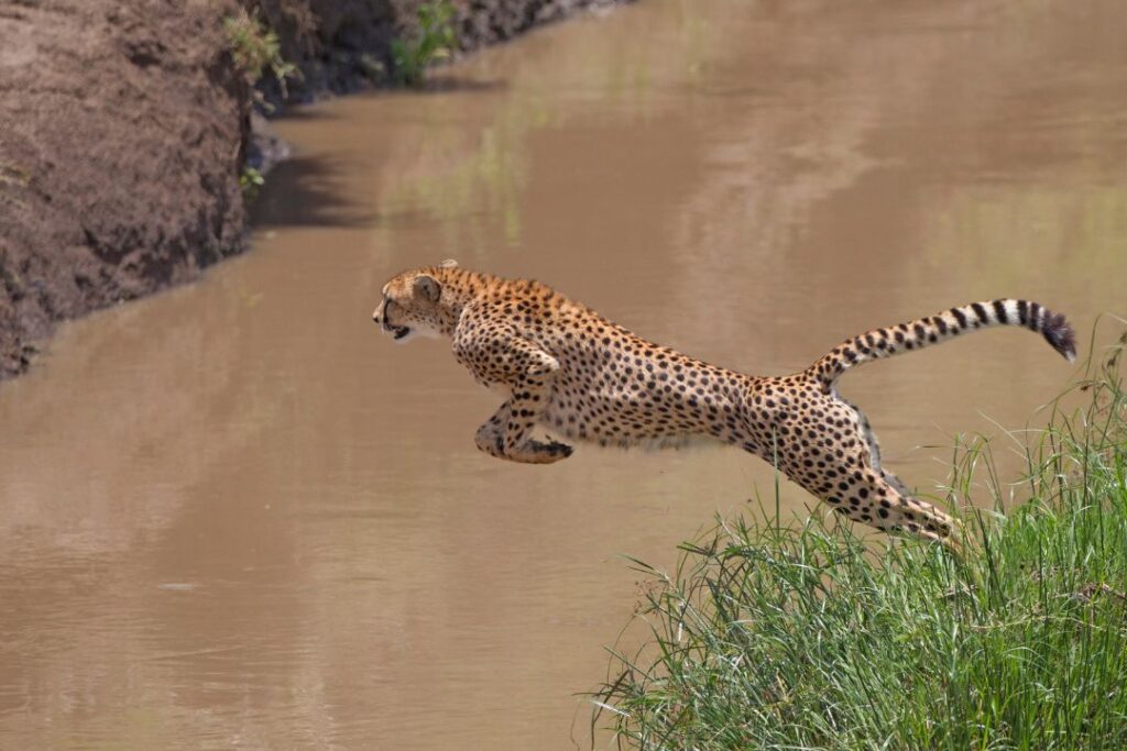 3 Day Tanzania Safari Itinerary