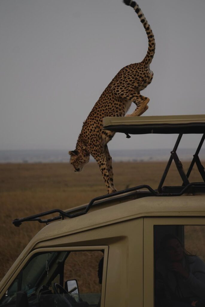 Tanzania Travel Guide from China