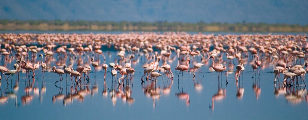 Lake Natron Activities