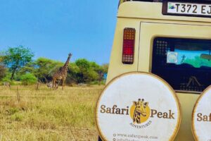 Tanzania Safari From UAE