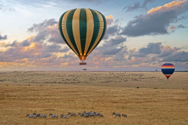 Balloon-Safaris.jpg