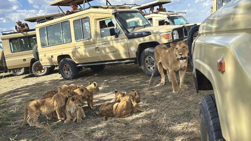 Tanzania safaris from Kazakhstan Kilimanjaro Serengeti