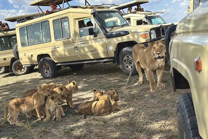 Best time to visit Tanzania