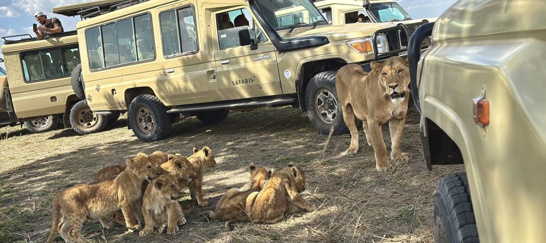 Best time to visit Tanzania