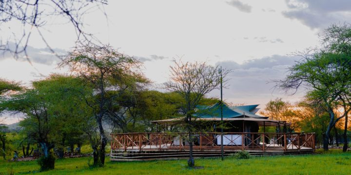 Embalakai-78-scaled-e1670066873543