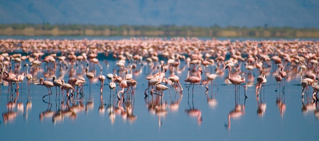 Lake Natron Activities