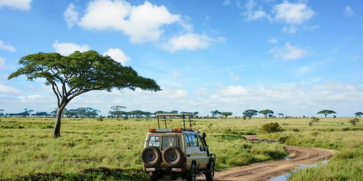 Arusha National Park