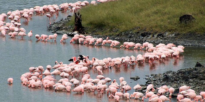 Momella Lakes Arusha National Park
