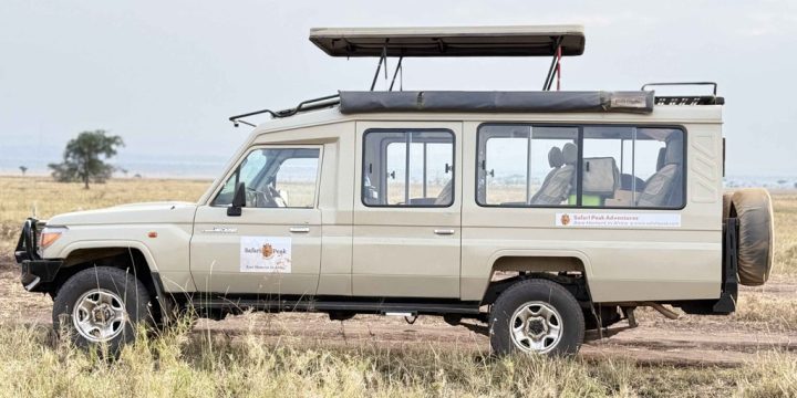 Sustainable Safari Jeep