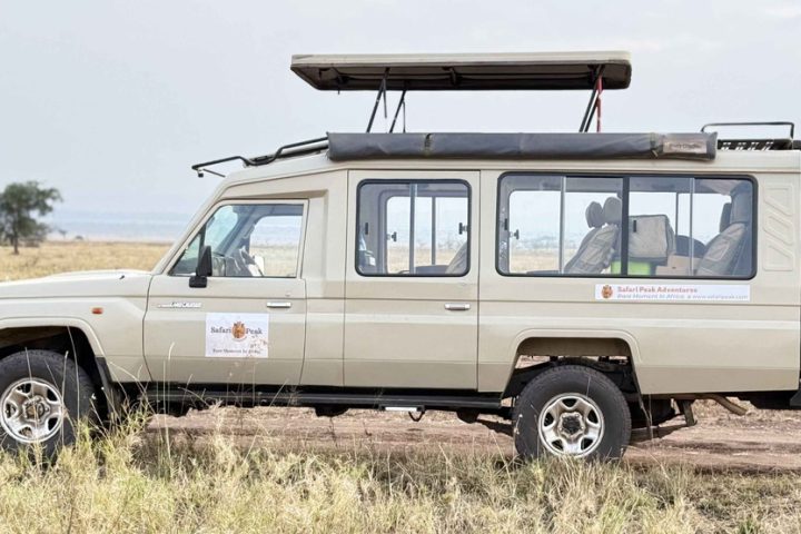 Sustainable Safari Jeep