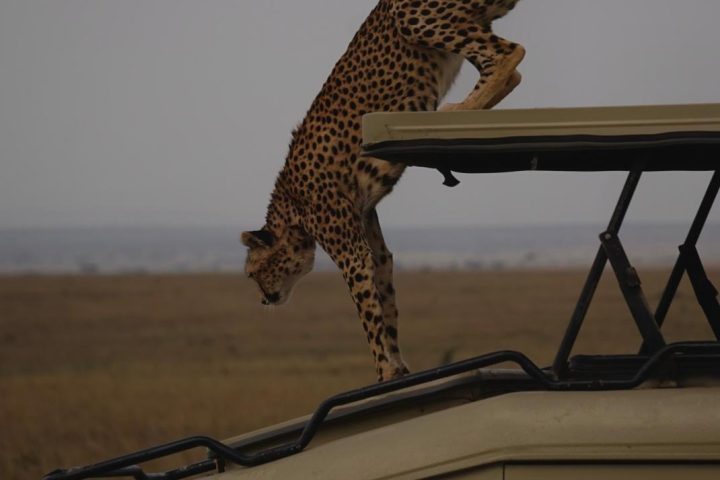 Tanzania Travel Guide from China